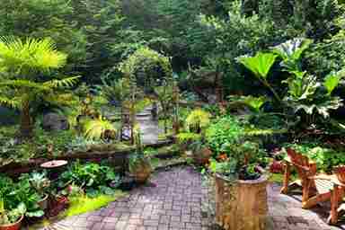 10 Stunning Backyard Landscape Designs