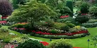 Gardening Services in London
