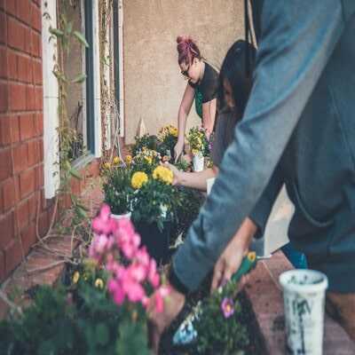 Gardening Consultation with Expert Advice and Planning