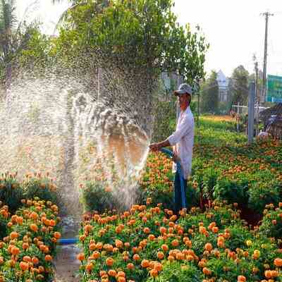 Gardening Maintenance for your garden.
