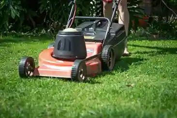 Lawn Care in Mitcham & Lawn Maintenance in Mitcham